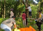 Pria Asal Lombok Utara, Ditemukan Tewas Gantung Diri Dipohon Mangga