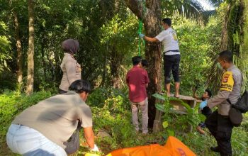 Pria Asal Lombok Utara, Ditemukan Tewas Gantung Diri Dipohon Mangga
